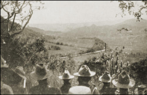 Coamo