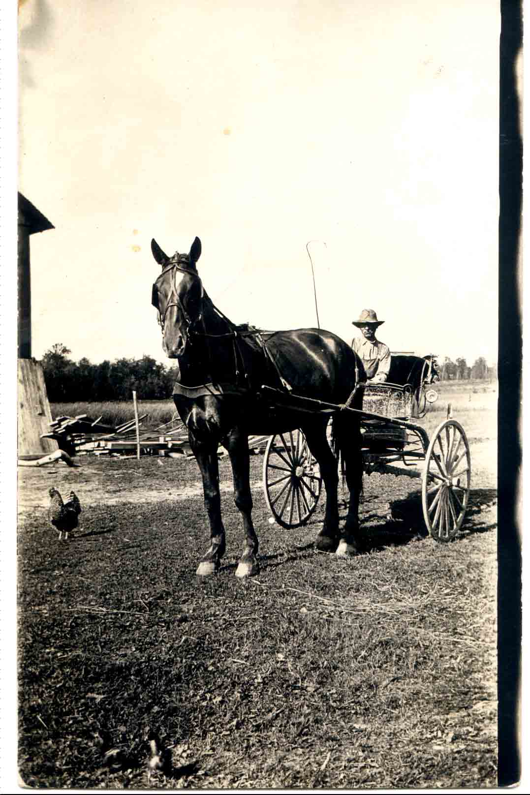 Ed Decker and his horse.